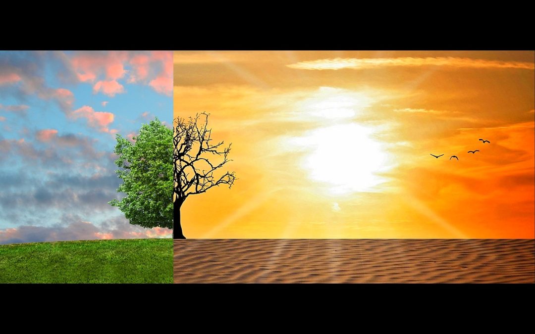 Utjecaj klimatskih promjena na zdravlje i imunitet