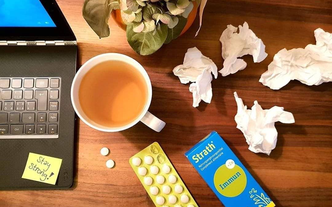 Peludne alergije i imunitet: kako si pomoći